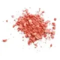COLORETE COMPACTO CORAL REEF 9GR.