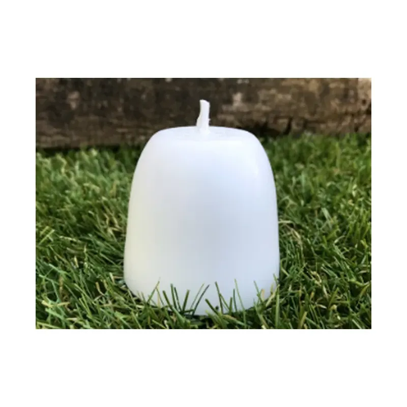 SOJA TEXTURIZADA GRUESA 250G