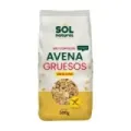 COPOS DE AVENA GRUESOS SIN GLUTEN BIO 500 g