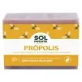 JABÓN DE PRÓPOLIS 100 G
