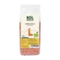 LENTEJA ROJA BIO 500 G