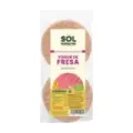TORTAS DE ARROZ Y YOGUR CON FRESAS BIO 100 g