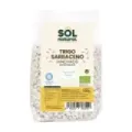 TRIGO SARRACENO HINCHADO BIO 100 G