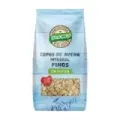 COPOS AVENA INTE FINOS SIN GLUTEN 5 500G BIOCOP