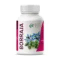 BORRAJA 100 COMP 500 MG