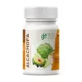 ALCACHOFA 100 COMP  500 MG
