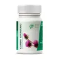 CARDO MARIANO 100 COMP 500 MG
