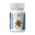 HARPAGOFITO 100 COMP  500 MG