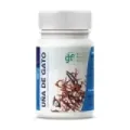 U?A DE GATO  100  COMP 500 MG