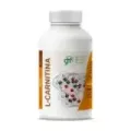 L-CARNITINA 90 COMP  600 MG