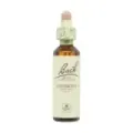 FLOR DE BACH 1 AGRIMONIA