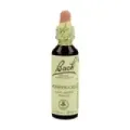 FLOR DE BACH 16 MADRESELVA