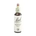 FLOR DE BACH 21 MOSTAZA