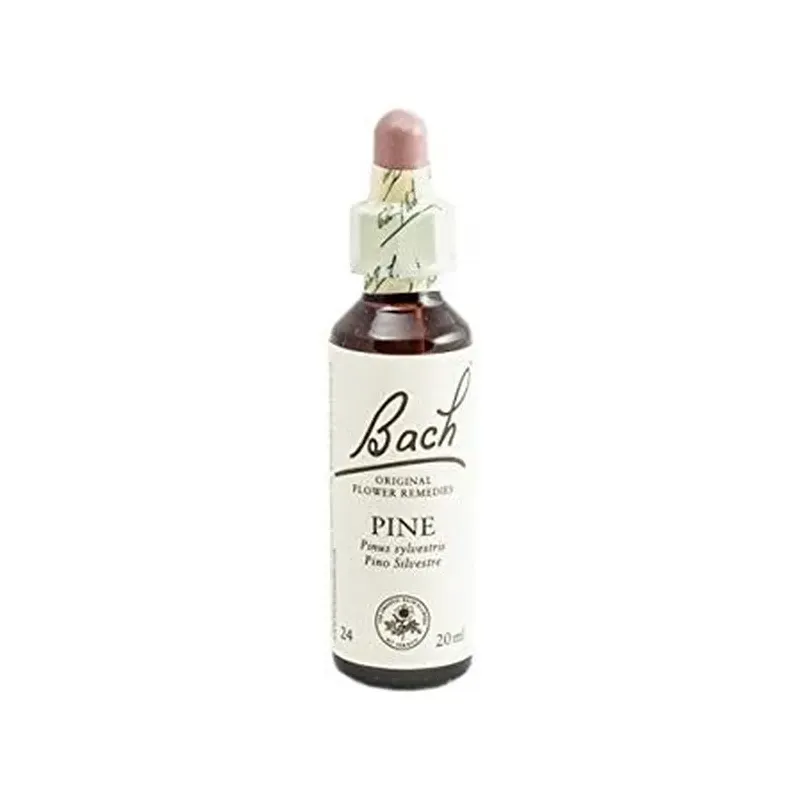 FLOR DE BACH 24 PINO