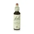 FLOR DE BACH 25 CASTAÑO ROJ