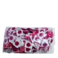 PIRULETAS REDONDAS SABOR CEREZA BIO-FT BOLSA 200UD