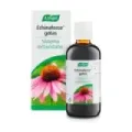 ECHINAFORCE GOTAS ML 100