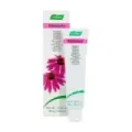 DENTAFORCE ECHINACEA PASTA DENTAL G (pasta dental)