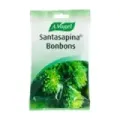 SANTASAPINA BONBONS BOLSA GR 100