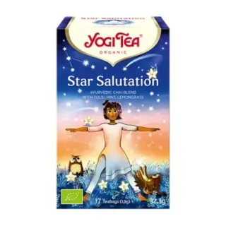 TE YOGI STAR SALUTATION 17 BOLS.  OFERTA LOTE CADUCIDAD 31/10/26