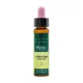 AGRIMONIA-1 ECO PLANTIS 10 ML