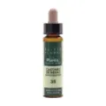 CASTAÑO INDIAS-35 ELIXIR FLORA ECO