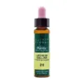 LECHE GALLINA-29 ELIXIR FLORAL ECO
