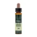 VIOLETA AGUA-34 ELIXIR FLORAL ECO P
