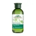 CHAMPU CABELLOS GRASOS 300 ML ECOCERT