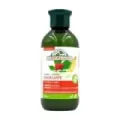 CHAMPU REFORZANTE CABELLO 300ML GINSENG Y GINKGO