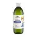 GEL BAÑO ANTIOXIDANTE 600ML BIO ECOCERT