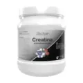 CREATINA PURA MONOHIDRATADA 300GR
