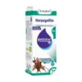 EXT. HARPAGOFITO GLIC 50ML BIO