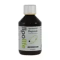 LIPOSOMAL MAGNESIO 250ML