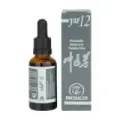 YAP 12