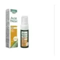 ALOEFRESH ALIENTO FRESCO SPRAY 15ML  OFERTA LOTE CADUCIDAD 31/03/27