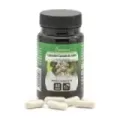 CAPSUDIET CASTAÑO DE INDIAS 40 caps vegetales
