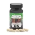 CAPSUDIET HARPAGOFITO 40 caps vegetales