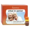 VITTAL IN SENIOR 20viales de 10ml