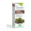 ESENCIA CEDRO ATLAS  10ml  ESENTIAL´AROMS