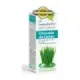 ESENCIA CITRONELA CEILAN  10ml  BIO ESENTIAL´AROMS
