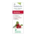 ESENCIA GAULTERIA   10ml  ESENTIAL´AROMS