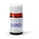 ESENCIA INCIENSO INDIA  5ml ESENTIAL´AROMS