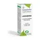 ESENCIA LAVANDINA   10ml ESENTIAL´AROMS