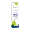 EXTRACTO ZANAHORIA 100ml LIPIDI ESENTIAL´AROMS