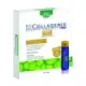 COLLAGENIX DRINK FORTE 10 VIALES