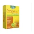 PROPOLGOLA JENGIBRE (30TABL.)