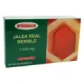 JALEA REAL BEBIBLE 1000 MG 20 VIALE