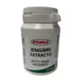 JENGIBRE EXTRACTO SECO 60 CÁPSULAS