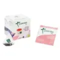 FRUTAS DEL BOSQUE BIO CAJA 10 PIRÁMIDES ENSOBRADAS